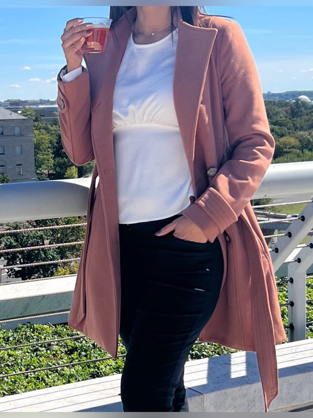 Express Sheer White Blouse - Picture 8 of 10